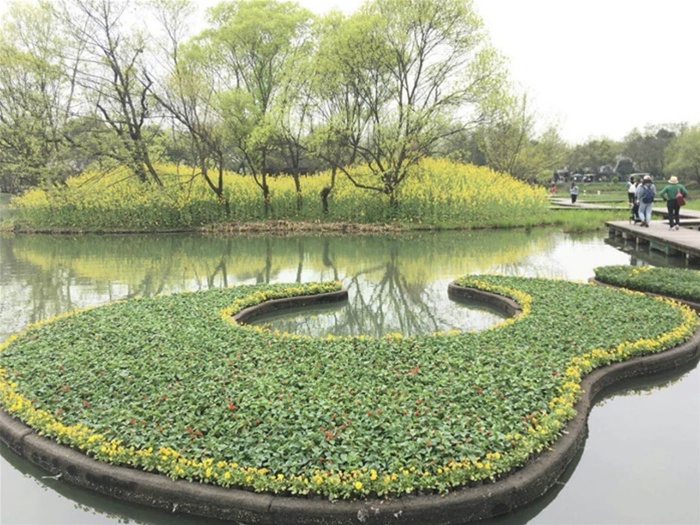 人工浮动湿地 